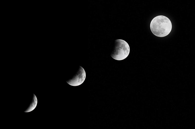 Moonlit night